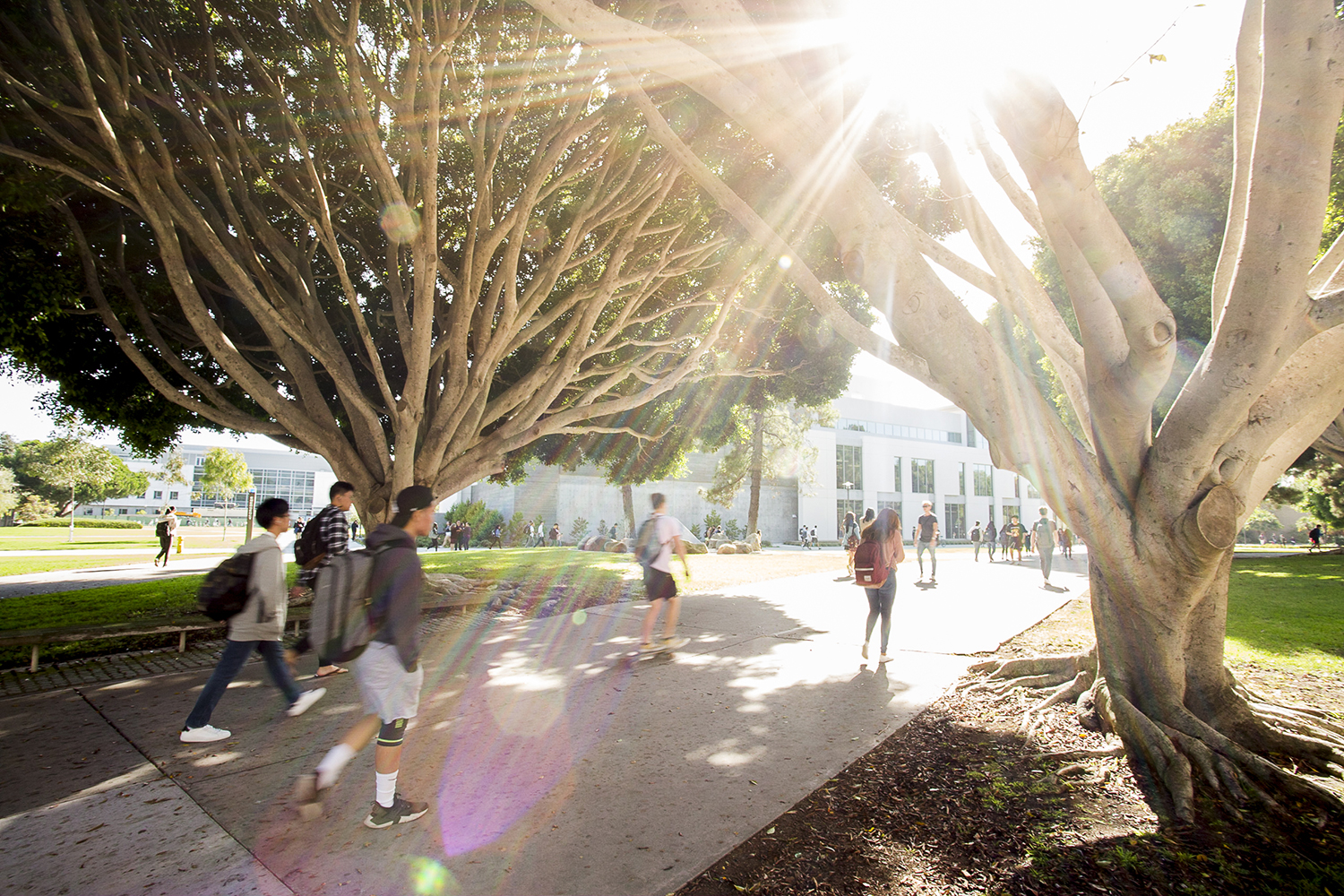 walkway on campus